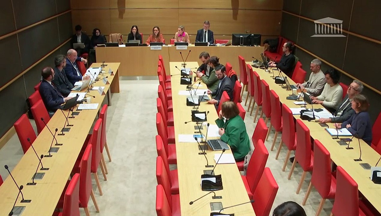 Manquements des politiques de protection de l’enfance : Auditions diverses - Mercredi 5 février 2025