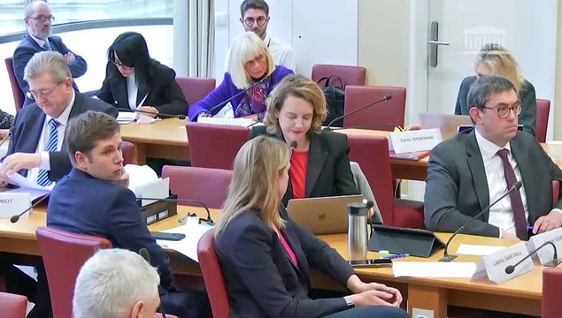 Commission des affaires étrangères : Sommet de Paris pour l’action pour l’intelligence artificielle des 10 et 11 février 2025 ; Ingérences étrangères dans les processus démocratiques - Mercredi 5 février 2025