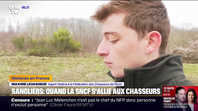 Normandie: la SNCF s'associe aux chasseurs pour détecter les sangliers, impliqués dans plusieurs collisions avec des trains
