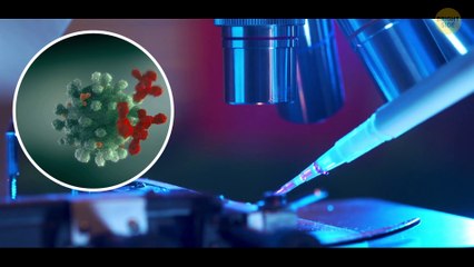 AI Could End Humanity Sooner Than We Think