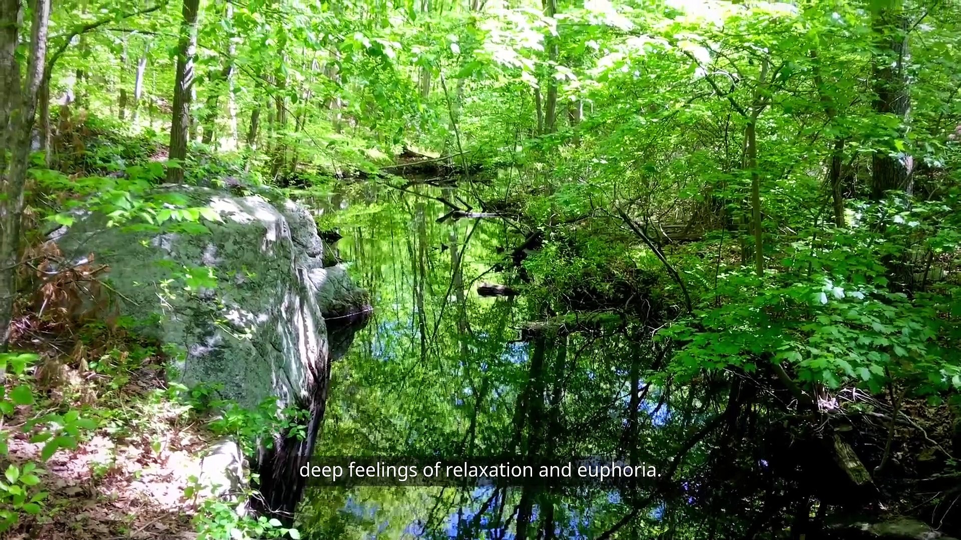 ⁣ASMR & Nature Sounds: Ultimate Relaxation Benefits