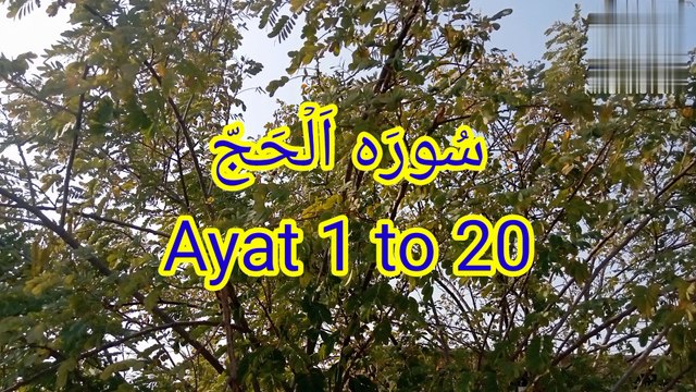 Surat ul hajj | quran pak ki tilawat | Tilawat beautiful voice | Quran recitation | bubak learn quran |
