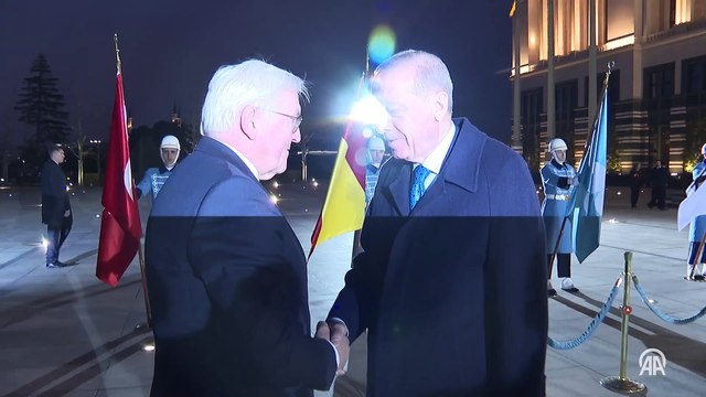 Cumhurbaşkanı Erdoğan, Almanya Cumhurbaşkanı Steinmeier ile görüştü