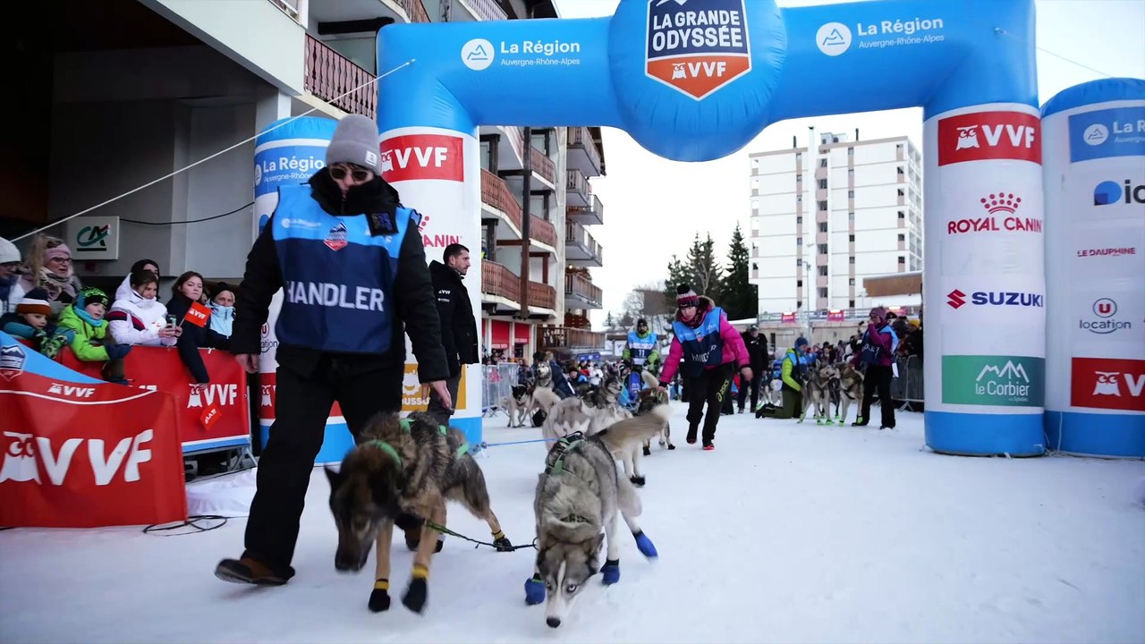 Saison 9 - Episode 08 - Les Amoureux du Husky