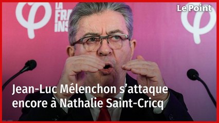 Jean-Luc Mélenchon s’attaque encore à Nathalie Saint-Cricq