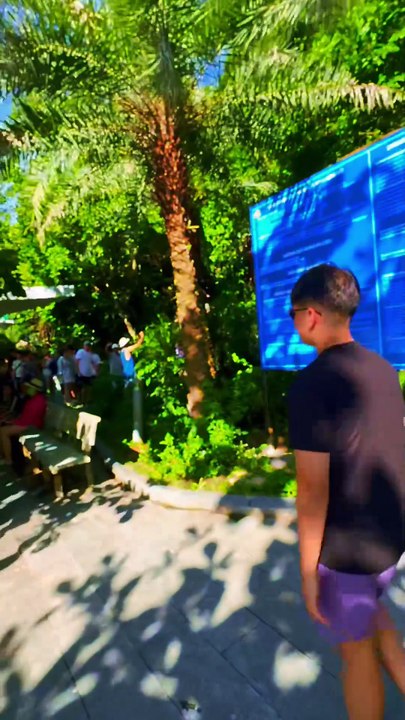 "🚶‍♂️✨ Stepping into the magical Sung Sot Cave in Halong Bay! A world of ancient limestone wonders and breathtaking beauty awaits. 🌄🕳️