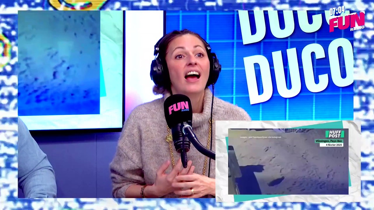 Ducon Ducon du 06 février - Aux Pays-Bas, elle se retrouve nez à nez avec un phoque dans sa chambre d'hôtel