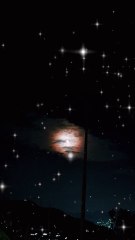 Ye Pal Kahin Tahra Nhi || Nature || Night 🌙 || Salman khan #shortfeed #beautiful #ytshorts #viral
