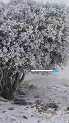 مشاهد بيضاء اللون في شمال وجنوب المملكة ❄ ما شاء الله!