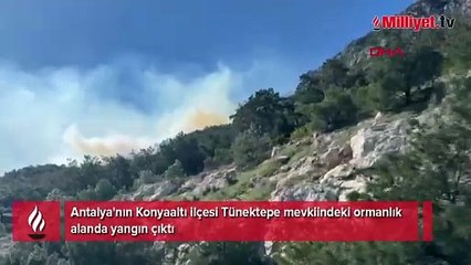 Antalya'da orman yangını, ekipler sevk edildi
