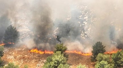 Antalya'da orman yangını