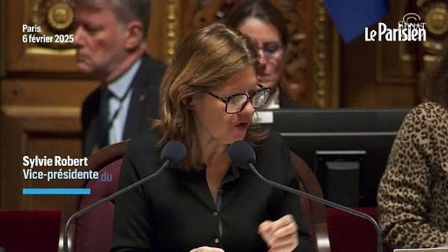 Le budget de l'État pour 2025 définitivement adopté au Parlement, après un dernier vote au Sénat