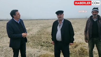 Edirne'de Çeltik Üreticilerinin Destek Ödemeleri İcin Tepkisi