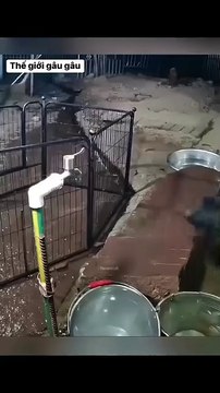 From then on, no one dared to drink from that faucet anymore