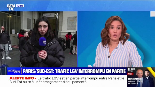SNCF: la circulation des trains vers le Sud-Est partiellement interrompue en gare de Lyon à Paris