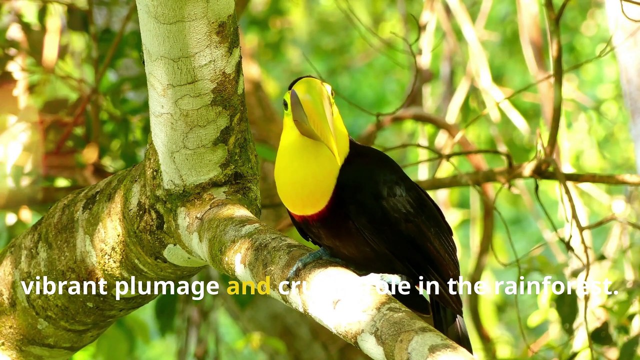 Fun Tapir Facts, Why These Animals Look Like Watermelon Babies!