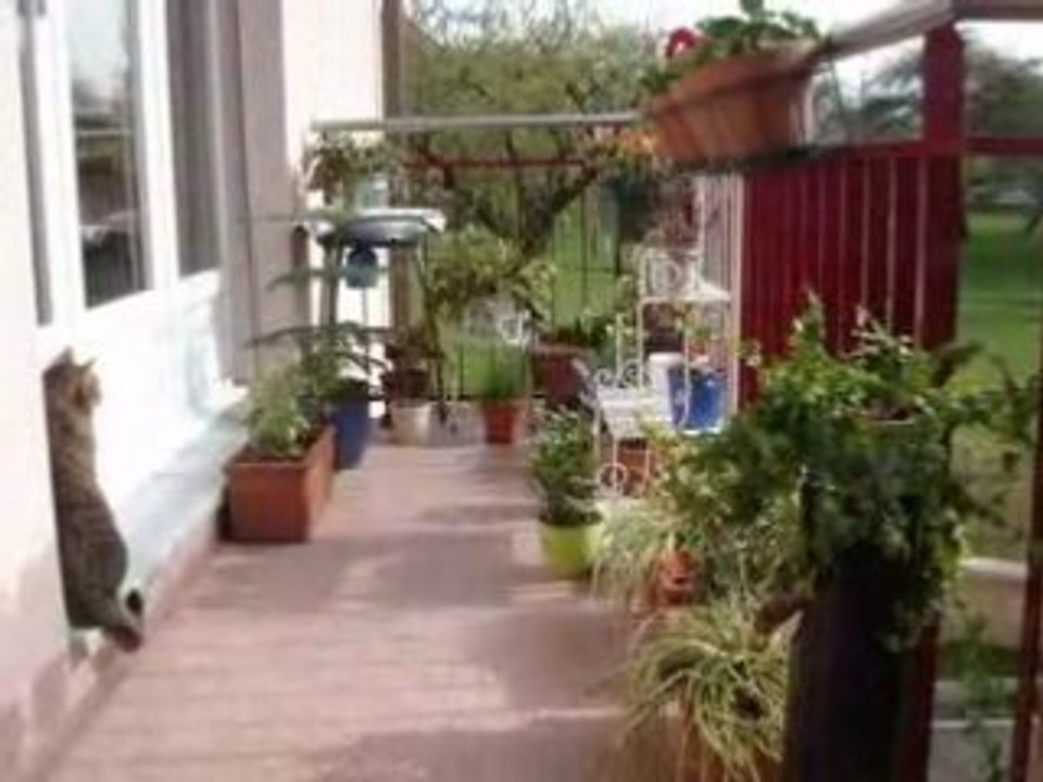 Balcon habité
