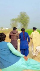 Funi videos best funny videos