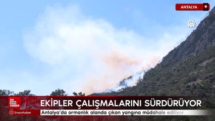 Antalya'da ormanlık alanda çıkan yangına müdahale ediliyor
