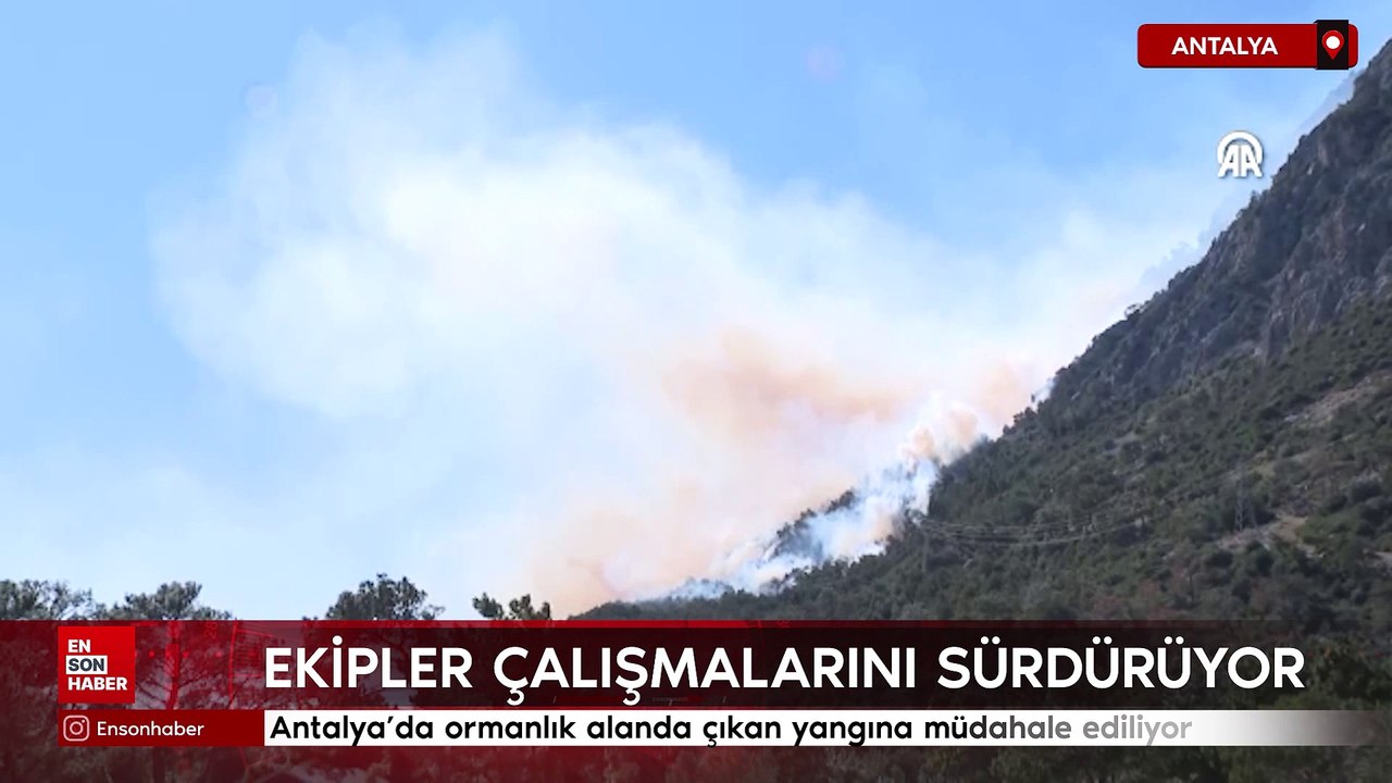 Antalya'da ormanlık alanda çıkan yangına müdahale ediliyor