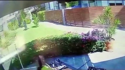 VIDEO: ¡Indignante! Denuncian a un médico por maltratar a su perrito