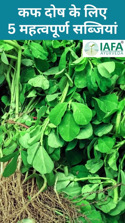 5 Best Vegetables to Balance Your Kapha Dosha
