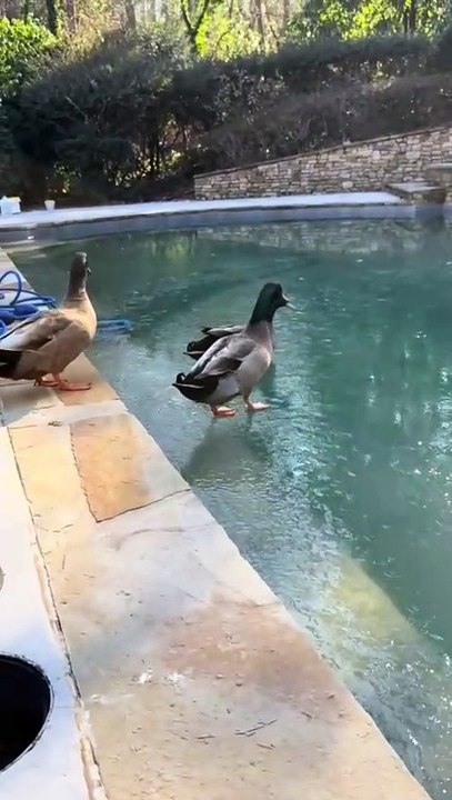You can tell they fully expected to float. Haha