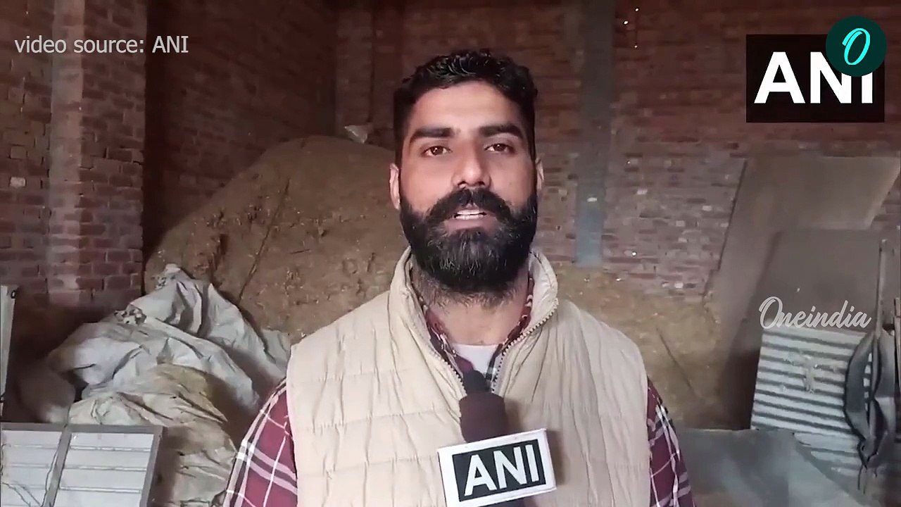 ‘ভারতে ফেরত পাঠানোর সময় পায়ে শিকল ও হাতে বেড়ি পড়ানো হয়েছিল’, জানালেন আমেরিকা ফেরত ভারতীয়