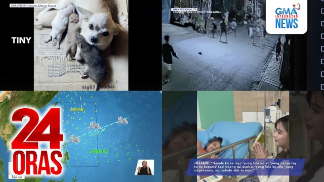 24 Oras: (Part 3) Daga, tila inampon o napagkamalang tuta ng bagong panganak na chihuahua; grupo ng kabataan, nagrambulan dahil umano sa selos; lolang may cervical cancer, binisita nina Jillian Ward at Michael Sager habang nagte-taping sa ospital, atbp.
