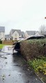 Powerful winds from Storm Éowyn tear the roof off a home, leaving residents displaced