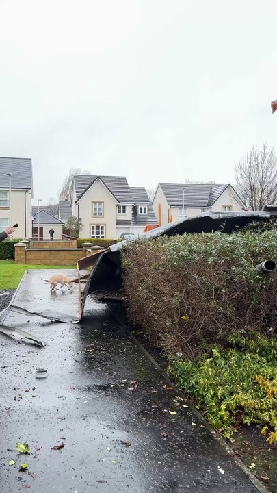 Powerful winds from Storm Éowyn tear the roof off a home, leaving residents displaced