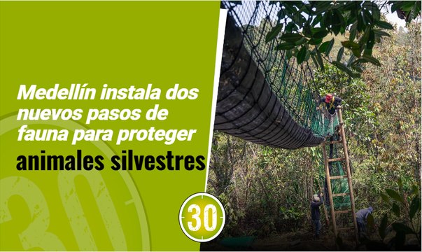 Medellín instala dos nuevos pasos de fauna para proteger animales silvestres