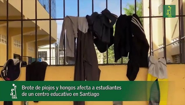 Brote de piojos y hongos afecta a estudiantes de un centro educativo en Santiago_1