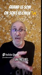 Quand tu sors le chien le soir 🦮