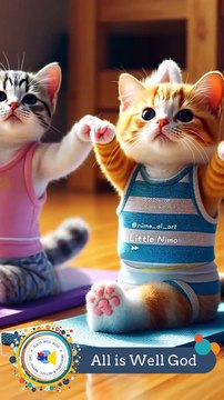 🎉🐾 क्या नज़ारा है! एक प्यारी बिल्ली सब्जियों की गाड़ी खींचते हुए। क्या आपको भी ऐसे खूबसूरत पल पसंद हैं? 🌽🥕🍅 हर जगह खुशियाँ फैलाएं और इस सुनहरे दृश्य का आनंद लें। #AllIsWell #खुशियाँ #बिल्ली #विशेषक्षण #सब्जियां 🌼✨