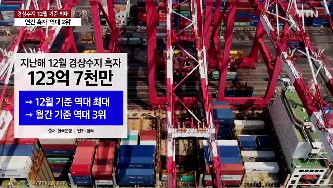 전국 공항에 조류 탐지 레이더·열화상 카메라 도입 / YTN