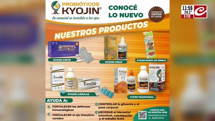 Así caía el motochorro que quiso asaltar a policía en Merlo