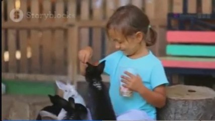 It happened at the rabbit farm/+حدث فى مزرعة الارانب.