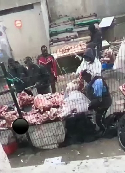 In France, meat is sold on pavements without any respect for health and hygiene standards. If you import third world you become third world