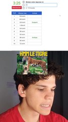 Les animaux les + rapides