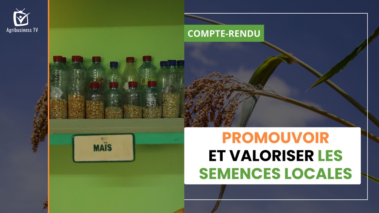 Burkina Faso : Promouvoir et valoriser les semences locales