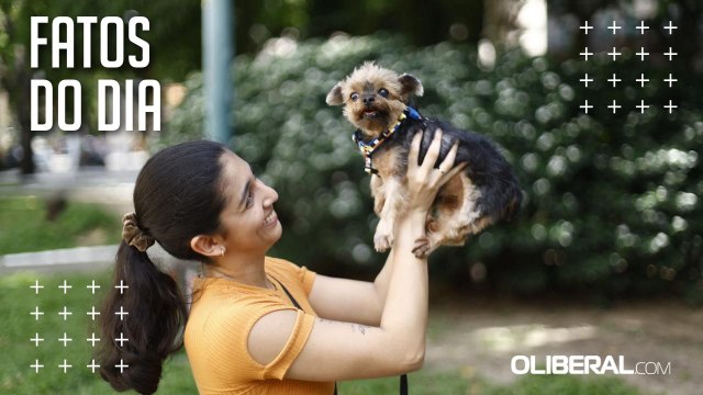Fevereiro Roxo: veja dicas para garantir uma velhice saudável para seu pet