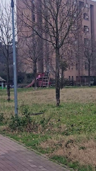 Park video