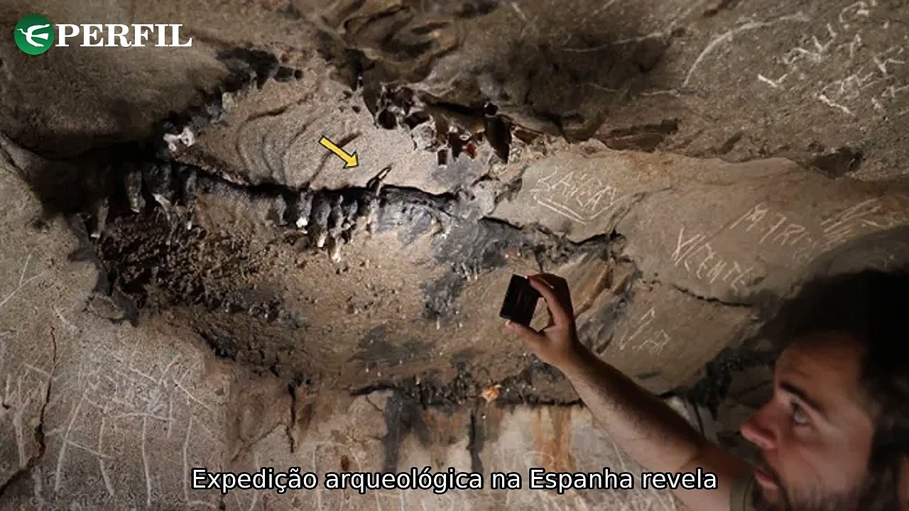 "Descobertas e Emoções: Caverna romana, filhote resgatado e relatos de sobrevivência de Eliana Paiva"