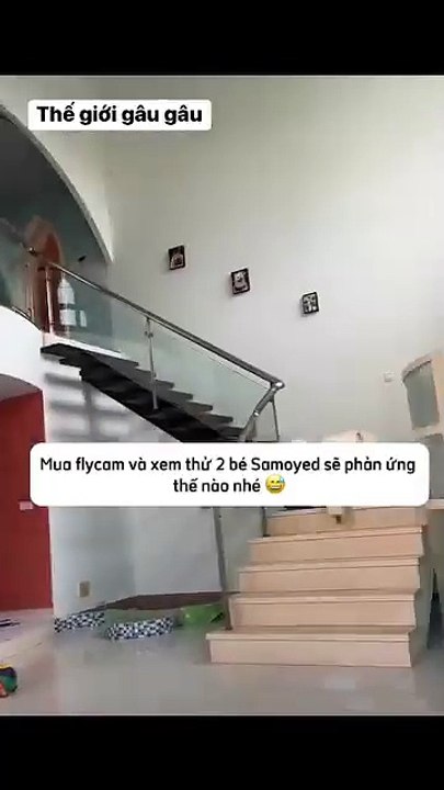 Not afraid of heaven, not afraid of earth, afraid of everything else