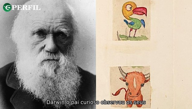 Desvendando mistérios: os segredos dos desenhos de Darwin, a advogada Eunice Paiva e a influencer do vinagre de maçã
