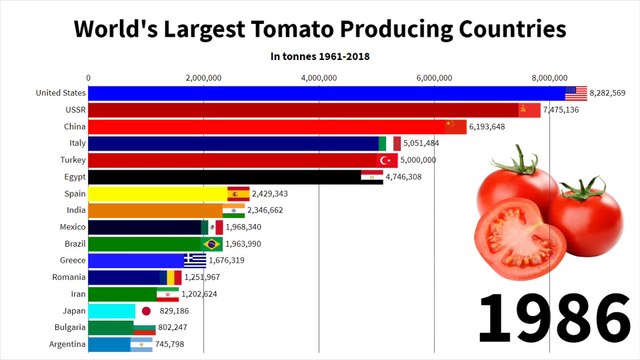 13 - World's Largest Tomato Producing Countries