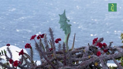Una nueva ola de temblores sacude la isla griega de Santorini