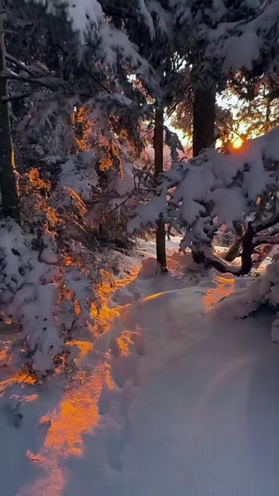 Serene Winter Wonderland Scene in Nature.