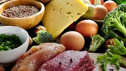 Which Foods Are High In Protein?